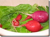 2012-07-18 things from the garden 018
