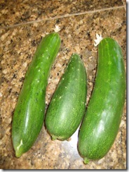 2012-08-26 Garden 028