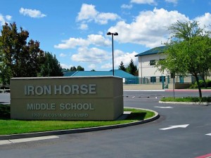 IHMS
