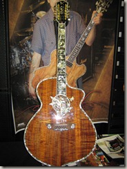 Minarik Acoustic with Hummingbird Inlays