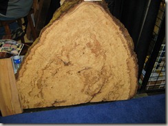 Giant burl wood