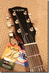 2011-03-26 Vox SSC33 021