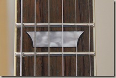 Neck inlays and dry rosewood fretboard