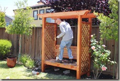 Staining with Preserva-wood