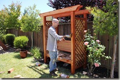 Staining with Preserva-wood