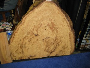 Giant burl wood