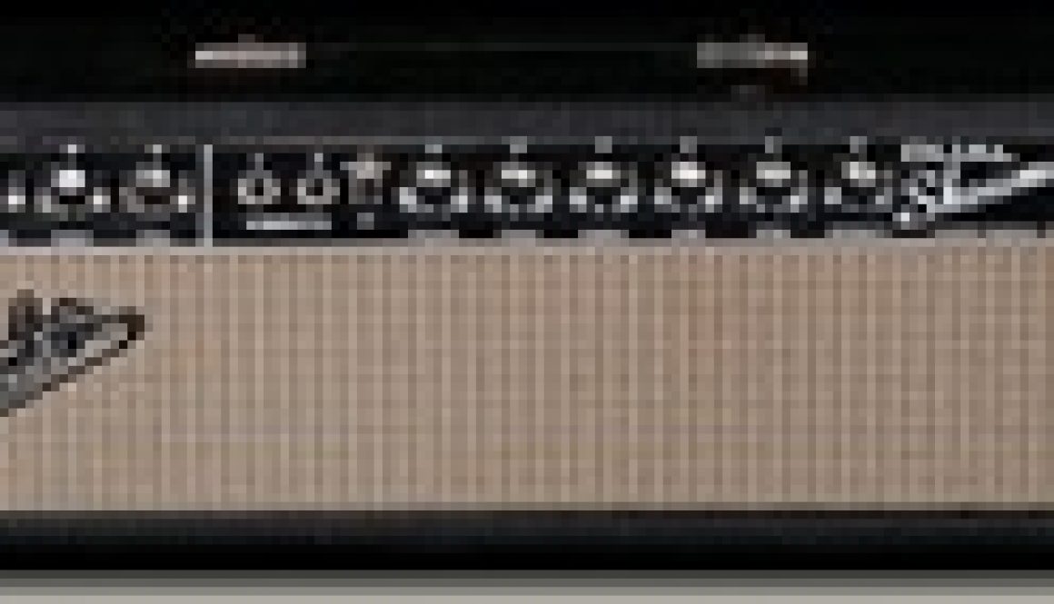 67 Fender Dual Showman Blackface