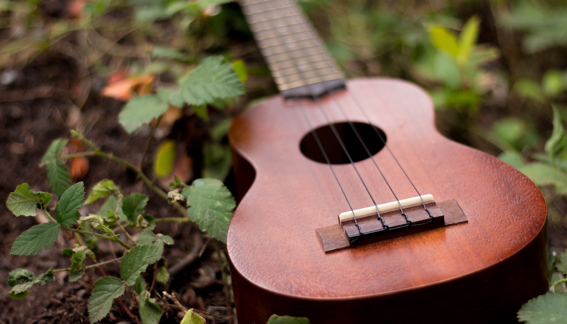 Ukulele In Nature