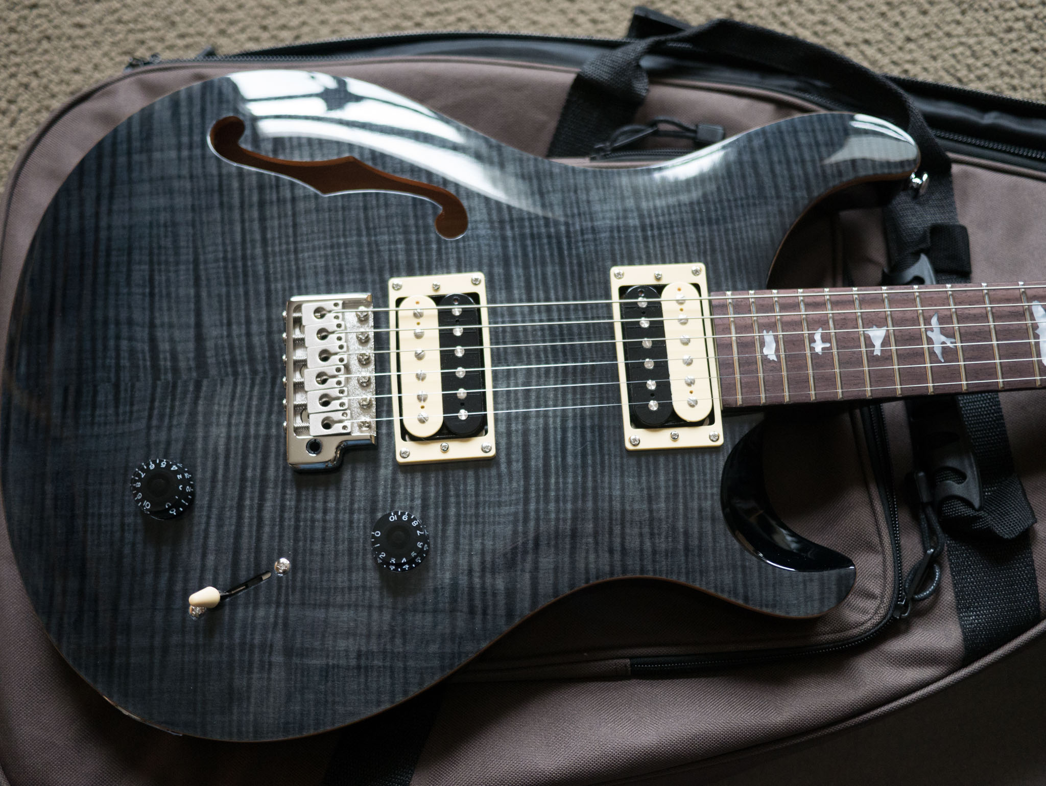 PRS SE Custom 22 Trem Experiments – Planet Z