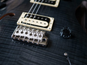 PRS SE Custom 22 Semi-hollow