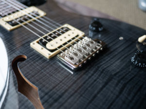 PRS SE Custom 22 Semi-hollow