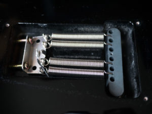 PRS SE Custom 22 Semi-hollow