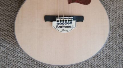 Ibanez Ae255bt Feature
